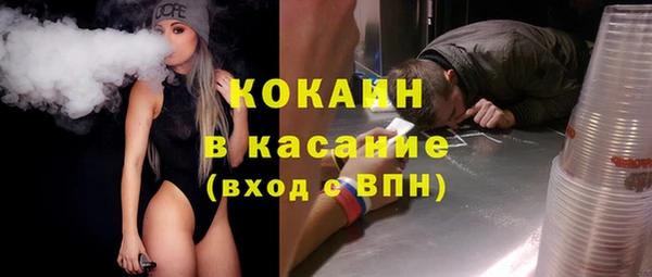 шишки Аркадак