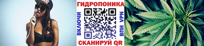 Бошки марихуана MAZAR  Трубчевск 